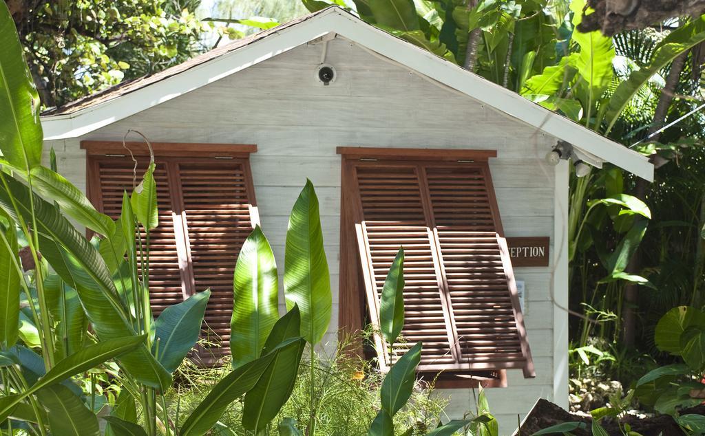 Eco Lifestyle And Lodge Bathsheba Exterior photo