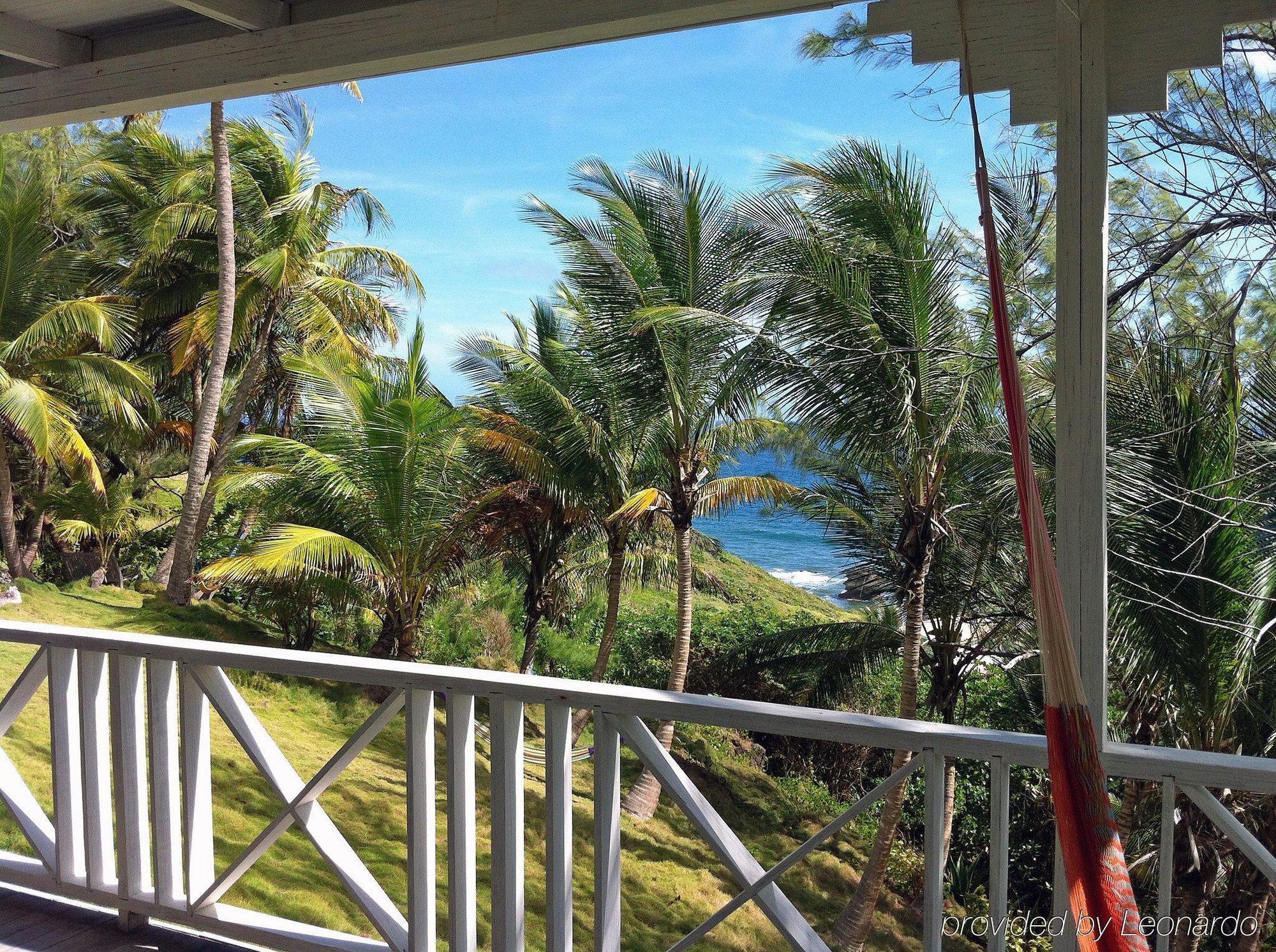 Eco Lifestyle And Lodge Bathsheba Exterior photo