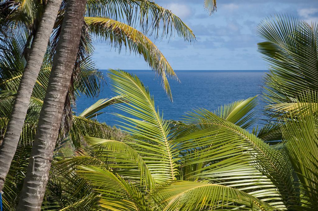 Eco Lifestyle And Lodge Bathsheba Exterior photo