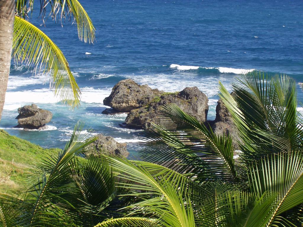 Eco Lifestyle And Lodge Bathsheba Exterior photo