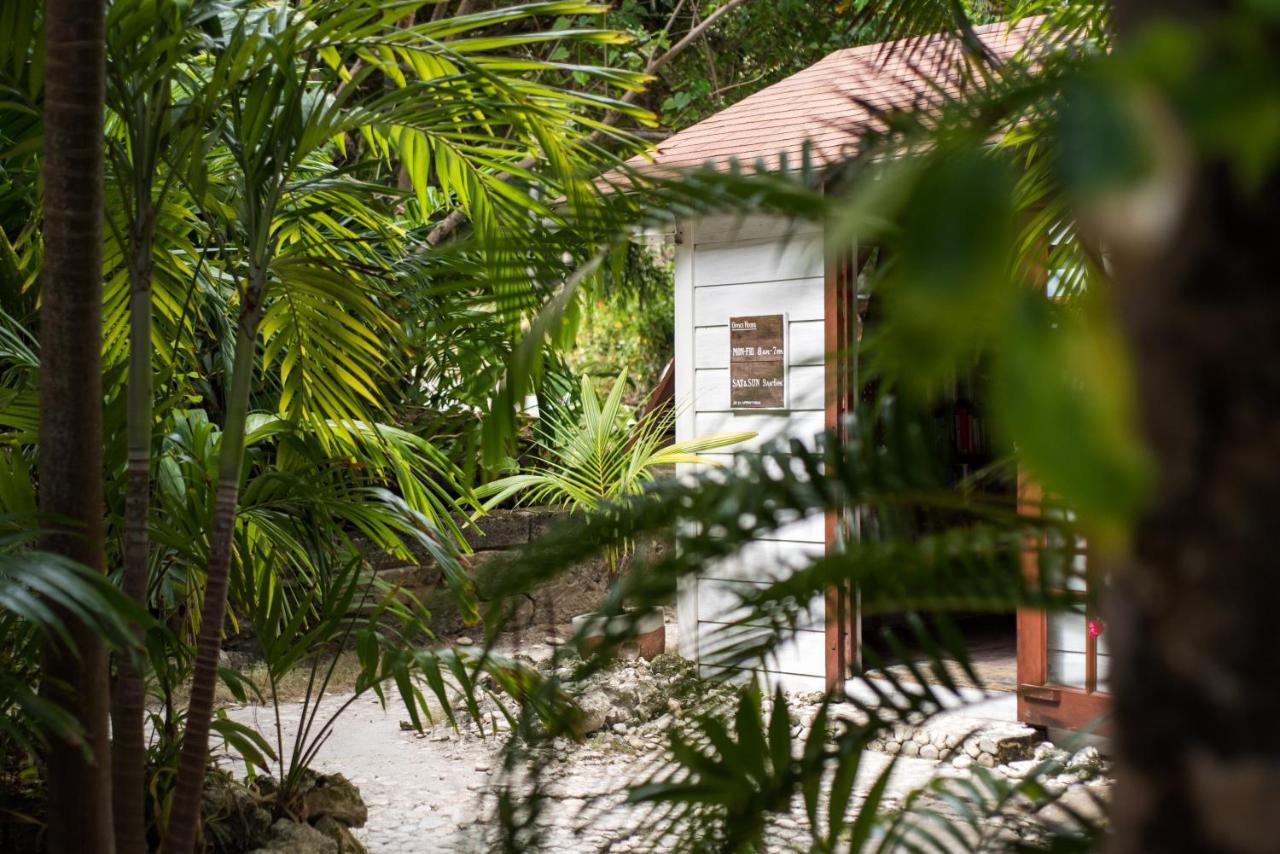 Eco Lifestyle And Lodge Bathsheba Exterior photo